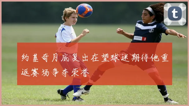 约基奇月底复出在望球迷期待他重返赛场争夺荣誉